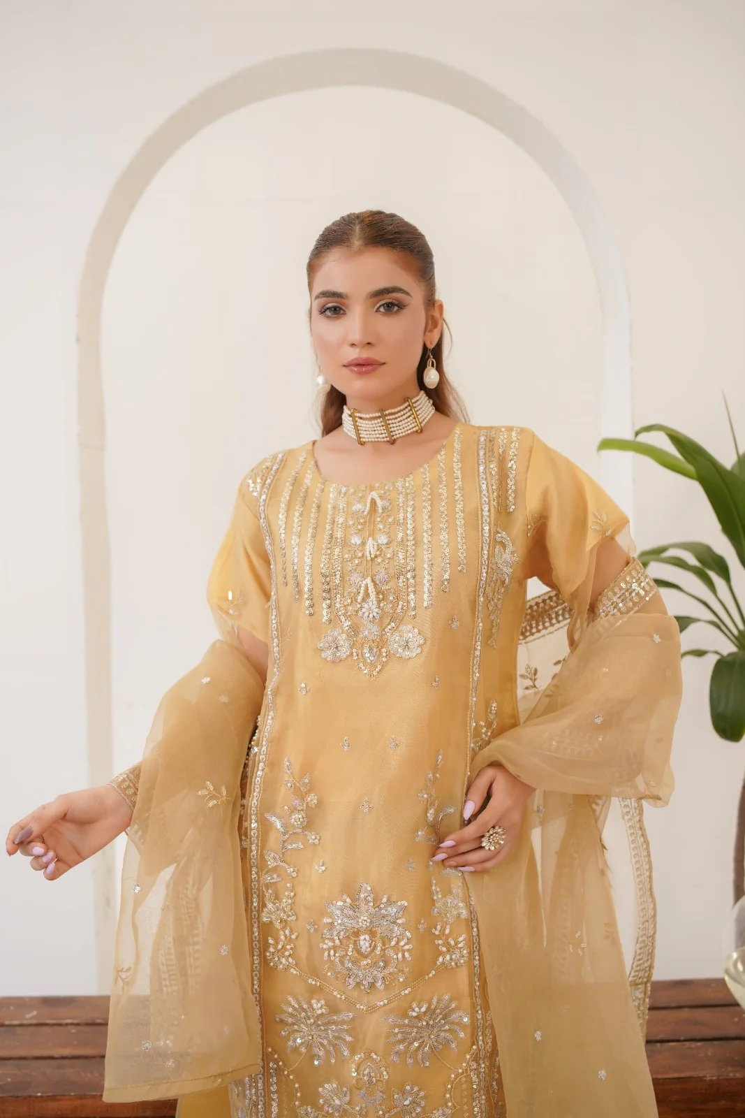 Areej ( Fancy Stitched Embrodiery Pcs ) - Image 3